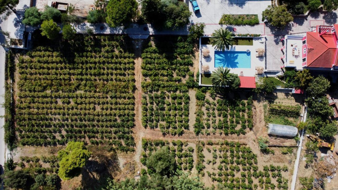 Zissis Villa & Pool 5Min Drive To Beach Kato Yerakarion Exteriér fotografie